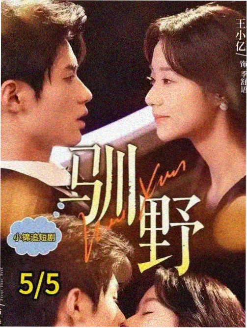 极地暗哨